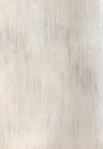کاغذ دیواری قابل شستشو عرض 70 D&C آلبوم فیورنزا کد 9613